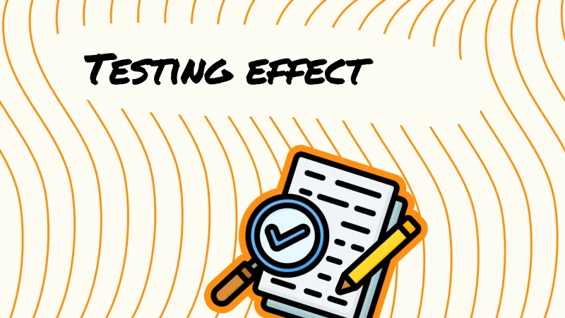 Testing Effect : Pourquoi s'auto-évaluer est 4x plus efficace que relire